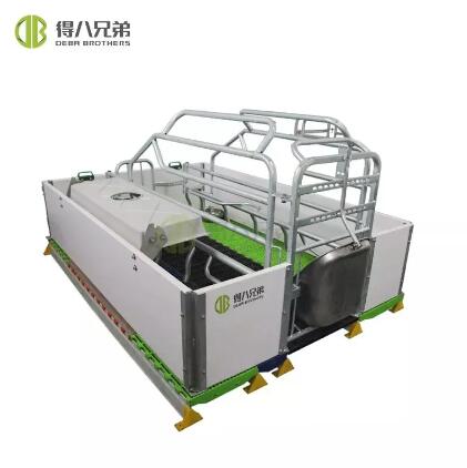 Understanding European-Style Farrowing Crates: Design Features and Comparisons