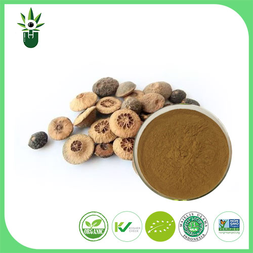 Applications of Citrus Aurantium Extract in Medicine: Evaluating its Efficacy and Safety