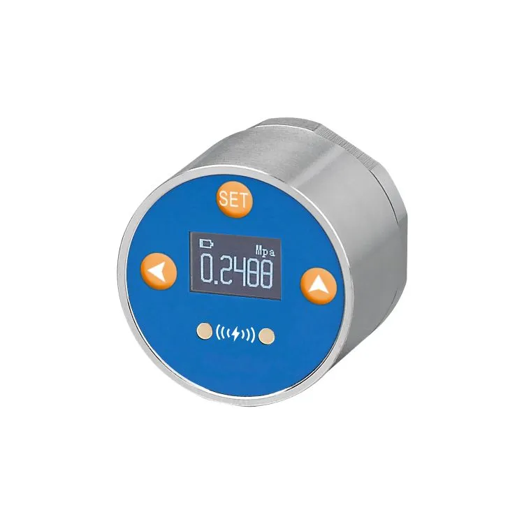 How High-Pressure Mini Digital Pressure Gauges Revolutionize Pressure Monitoring