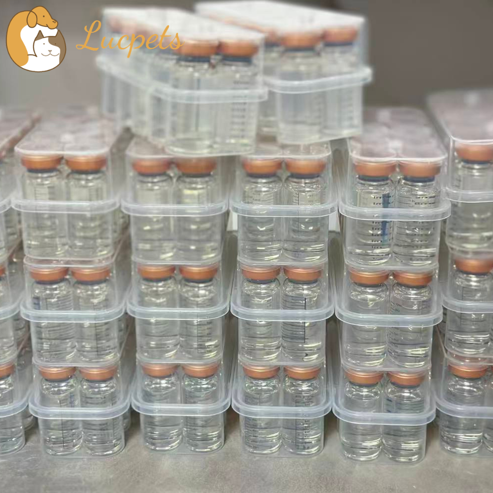 FIP Injectable GS-441524 Manufacturer: How to Find a Reliable Source for Your Cat's Treatment